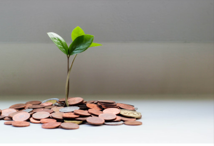 The Role of Financing in Business Growth